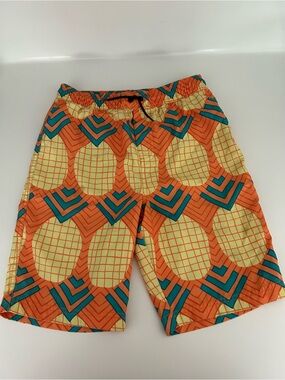 Tea Collection Pineapple Print Swim Trunks Size 10